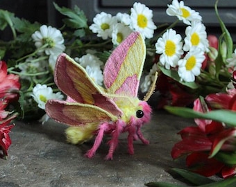 Gestickte Rosy Maple Moth Skulptur, OOAK Entomologie, Insekten Geschenk