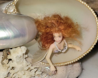 Sirena conchiglia Nautilus, FITA, Fate in soffitta di Julie Mansergh