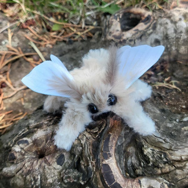 Baby Bombyx Mori ,silk moth soft sculpture, ooak,  textile taxidermy, doll, toy, plush, entomology
