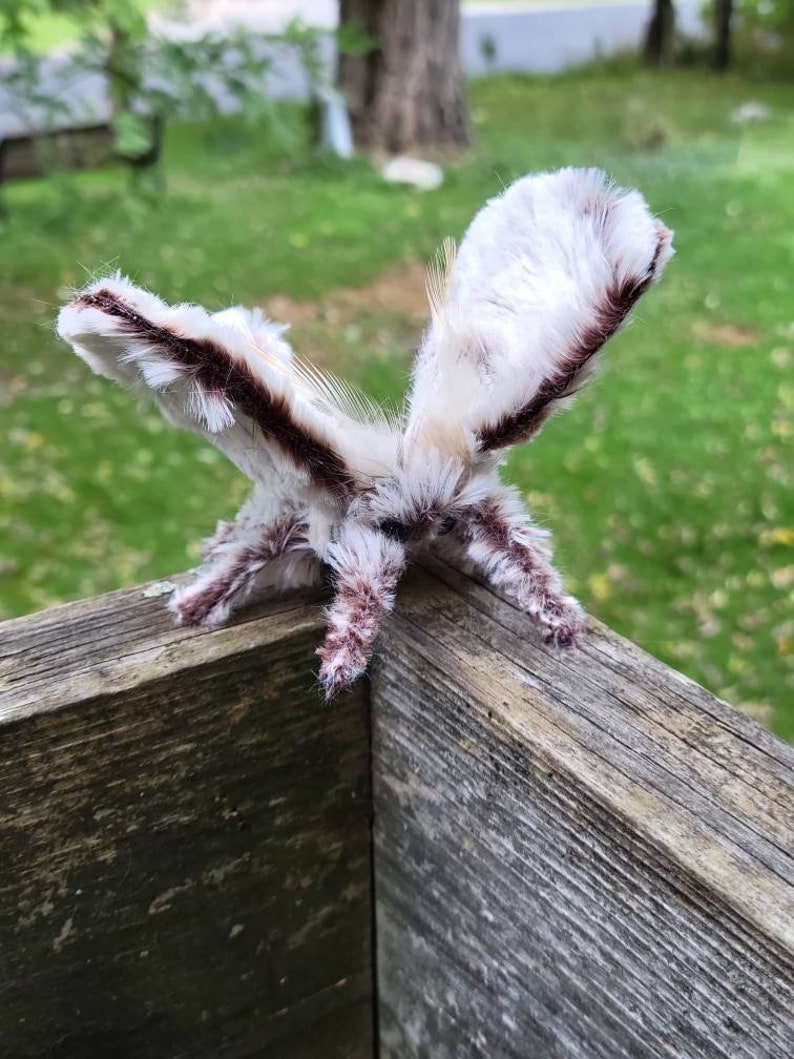 Poodle Moth Soft Sculpture Faux Taxidermy Plush Textile Etsy