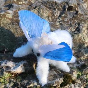 Aqua winged moth soft textile sculpture, doll, figure, insect art , entomology gift image 1