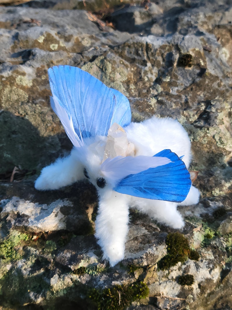 Aqua winged moth soft textile sculpture, doll, figure, insect art , entomology gift image 1