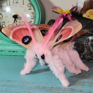 Dreamy pink moth, butterfly soft sculpture , ooak,  textile taxidermy, insect,  entomology gift