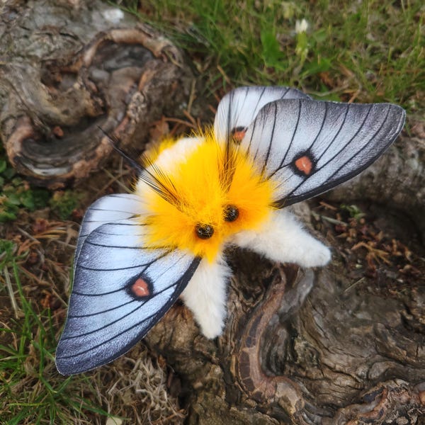 Reserved for Melissa Hansard Ghost Moth  and Bombyx Mori & Ermine soft Sculptures , entomolgy art, plush figure