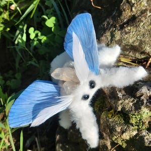 Aqua winged moth soft textile sculpture, doll, figure, insect art , entomology gift image 3