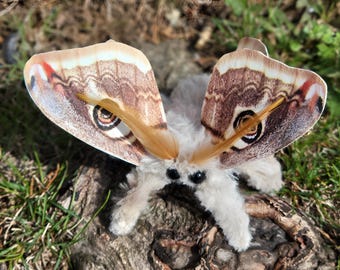 Blush moth, butterfly soft sculpture , ooak,  textile insect, bug, entomology gift