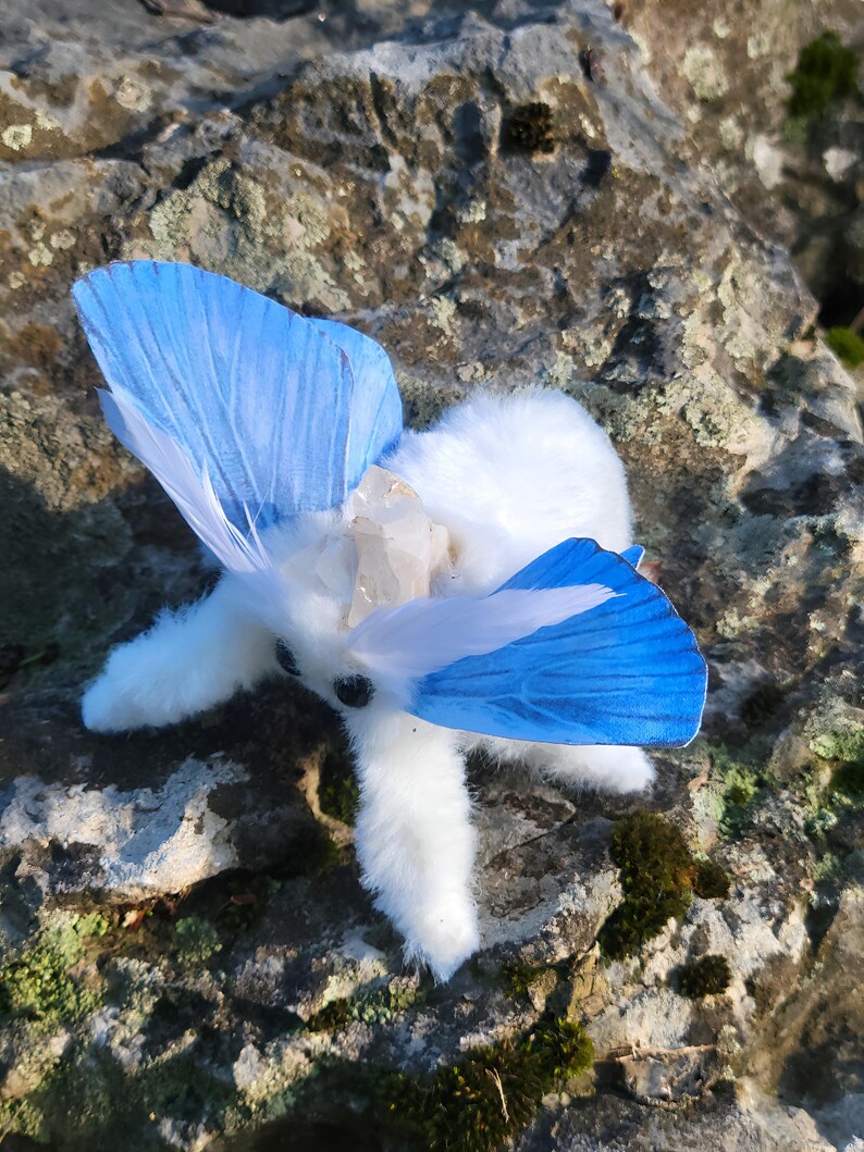 Aqua winged moth soft textile sculpture, doll, figure, insect art , entomology gift image 6