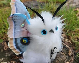 Búho polilla Polyphemus, taxidermia textil, arte en fibra, pieza única, escultura blanda, arte de insectos, regalo