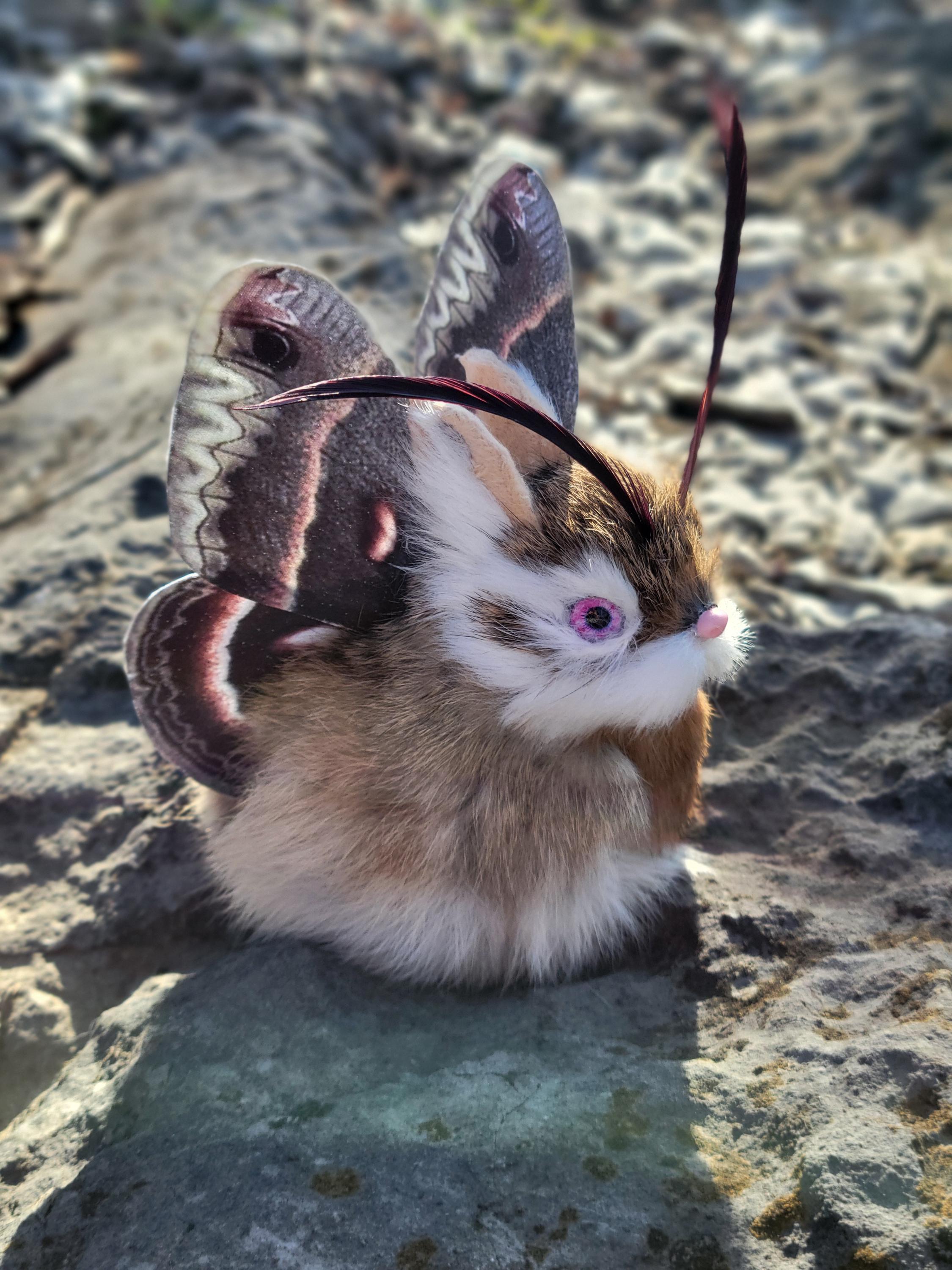Cepcropia Moth Bunny Textile Sculpture, Ooak, Ornament, Gift - Etsy