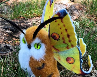 Comet moth owl, textile taxidermy, fiber art, OOAK,  soft sculpture, insect art, gift