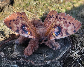 Owl Eye Moth textile sculpture, plush entomology, insect figure, OOAK