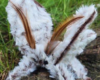 Poodle moth soft sculpture, faux taxidermy, plush, textile art,  ooak, moth doll, entomology,  gift