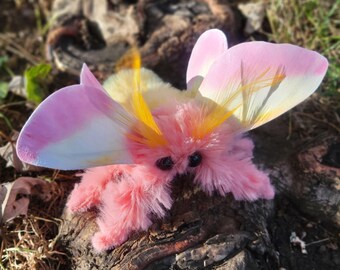 Rosy Maple Moth Soft Sculpture - OOAK Entomology Art, insect gift