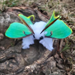 Mini luna moth, butterfly soft sculpture, ooak,  textile taxidermy, doll, toy, plush, entomology