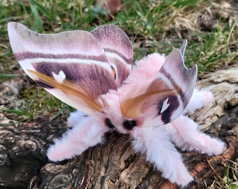 Pink Silk Moth Soft Sculpture, moth doll, insect art, entomology gift, figure