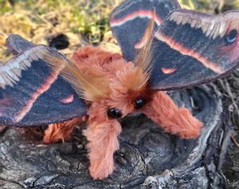 Cepcropia Moth Soft Sculpture , entomolgy art, plush figure