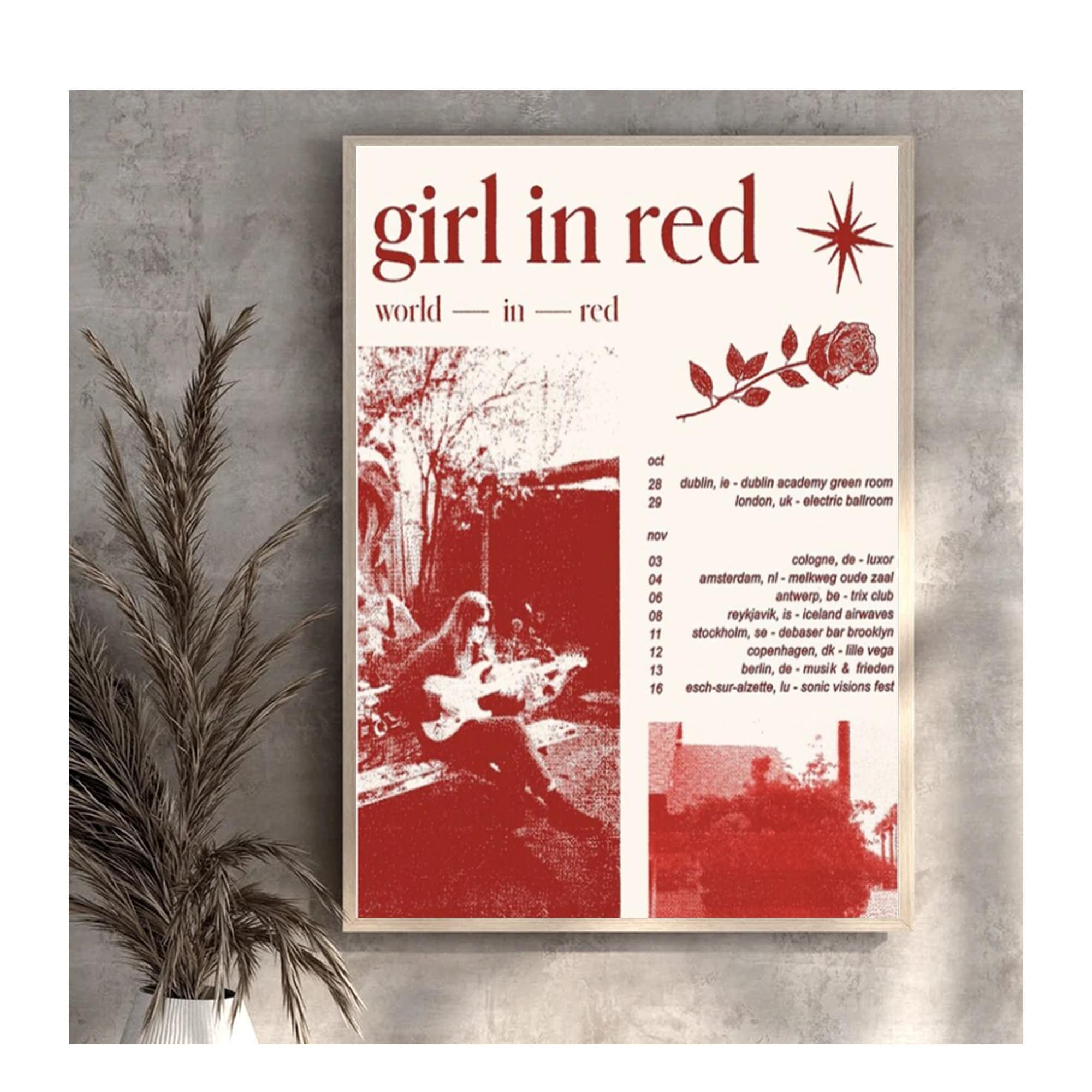 Discover Girl In Red Tour Poster