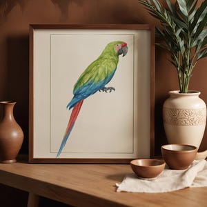 Könnte beinhalten: Ein gerahmter Kunstdruck mit einer detaillierten Aquarellillustration eines Ara-Papageis. Der Vogel hat leuchtend grüne Rückenfedern, blaue Flügel und einen langen roten Schwanz. Der Papagei ist im Profil vor einem cremefarbenen Hintergrund dargestellt.