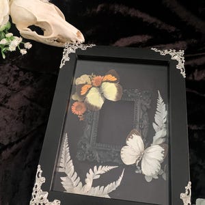 May include: A black framed art piece featuring pressed butterflies and dried flowers. The artwork includes a yellow and orange butterfly, a white butterfly, and silver fern leaves. The frame has decorative silver corner accents.
