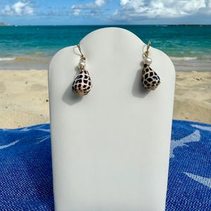 May include: A pair of seashell earrings displayed on a white stand against a beach backdrop. Each earring features a teardrop-shaped shell with a black and tan pattern, accented by a small pearl and gold-colored hook.