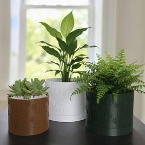 May include: Three potted plants on a table. A succulent in a brown pot, a peace lily in a white pot, and a fern in a dark green pot. The pots have a floral pattern. The background includes a window with natural light.