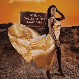 May include: A woman in a flowing gold dress stands in front of a sign that reads "Entering Valley of Fire State Park". The dress is draped and billowing, with a satin sheen. The background features a desert landscape and an orange sky.