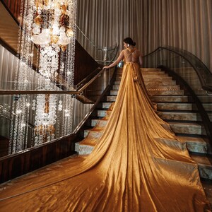Gold Flying Dress | Extra Long Train for Photoshoots | Photoshoot Dress|Flying dress image 2