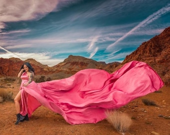 May include: A woman in a flowing, bright pink dress stands in a desert landscape. The dress has a long train that billows in the wind. The background features mountains and a blue sky with clouds.