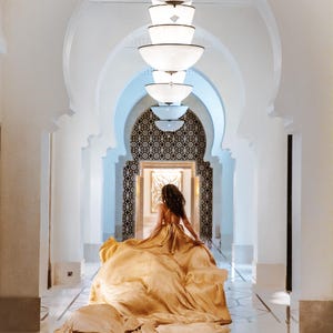 Gold Flying Dress | Extra Long Train for Photoshoots | Photoshoot Dress|Flying dress image 19