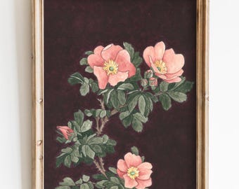 Alte Rosen Kunstdruck