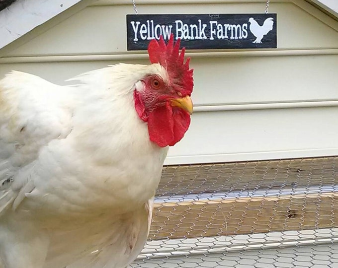 Personalized Farm Sign Modern Rustic Egg Sign Chicken Coop Established Sign Choose Colors and Wording