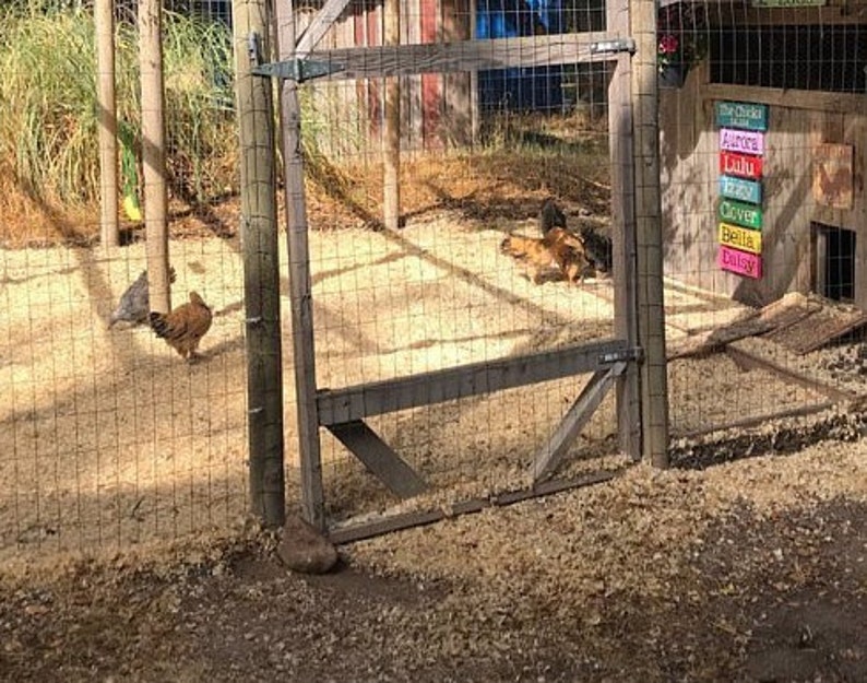 Hen House Name Signs Custom Coop Decor Weatherproof Etsy