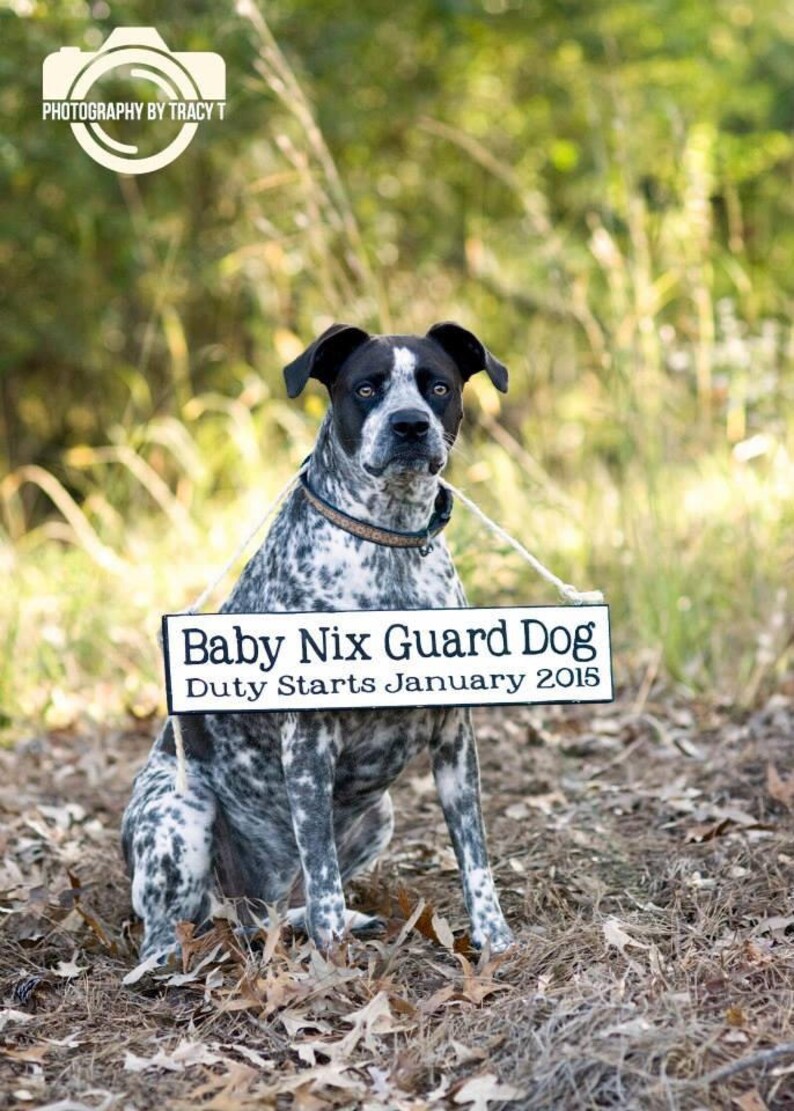 Download Custom Pregnancy Announcement Sign Photo Prop Reveal Only | Etsy