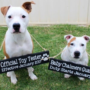 Pu&ograve; includere: Due cani bianchi e marroni con cartelli neri appesi al collo. Il cartello sul cane a sinistra recita "Official Toy Tester Effective January 2017" con un'icona di sonaglio. Il cartello sul cane a destra recita "Baby Chalmers Guard Dog Duty Starts January 2017".