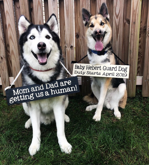 TWO Custom Pregnancy Announcement Signs | Wooden Dog Photo Prop Reveal