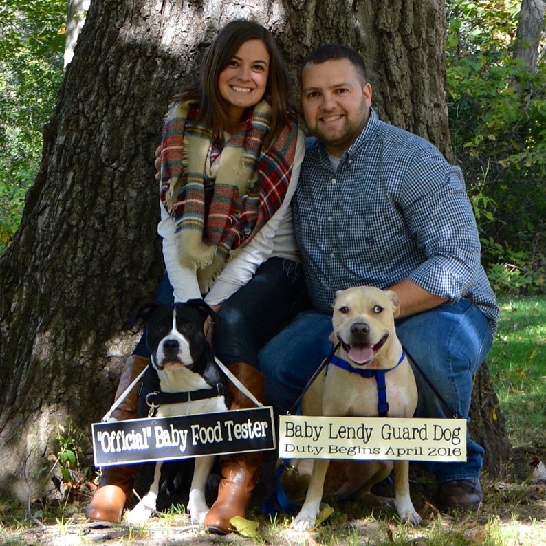 Pu&ograve; includere: Una coppia posa con i suoi due cani davanti a un albero. I cani indossano cartelli che recitano "Official Baby Food Tester" e "Baby Lendy Guard Dog Duty Begins April 2016".