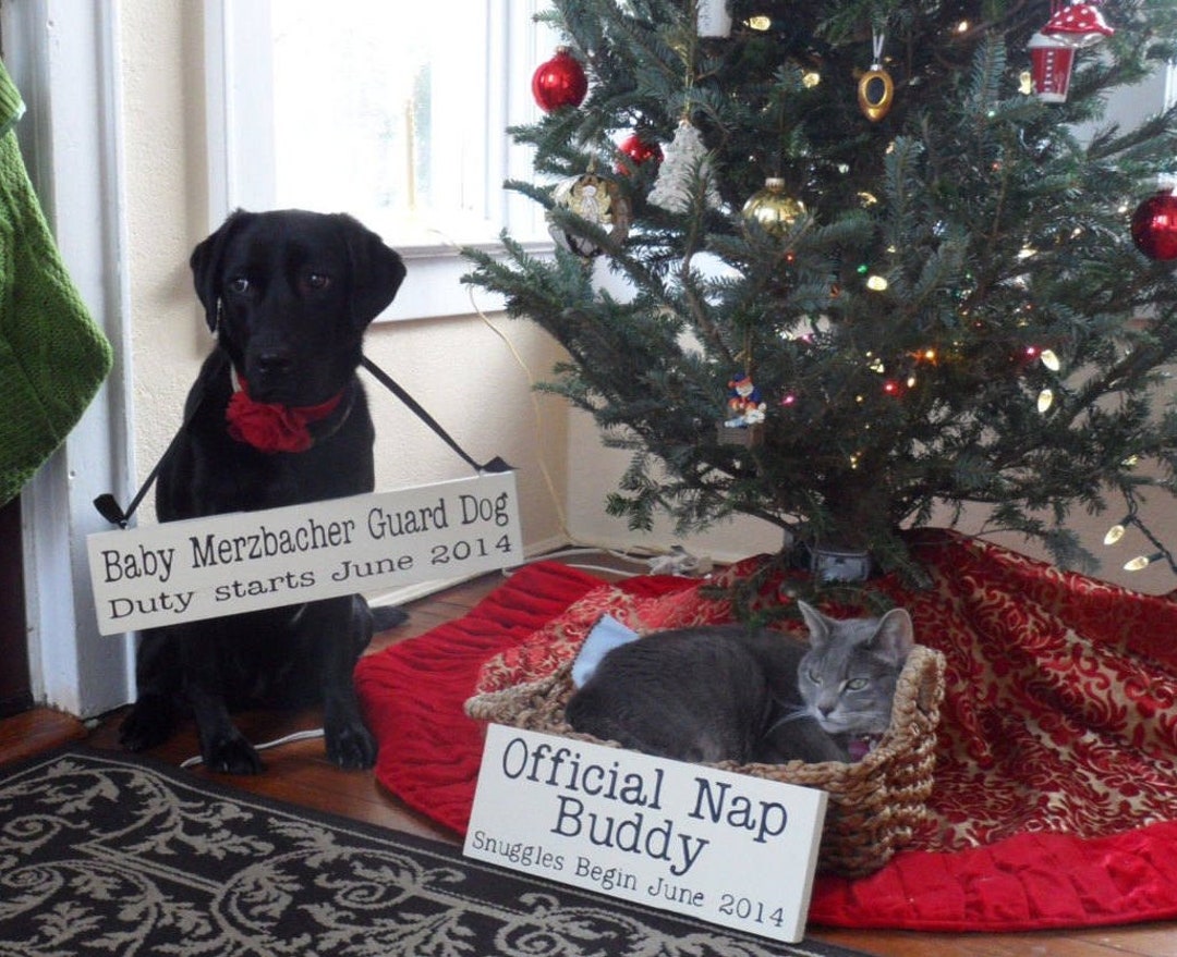 Baby Announcement Cat Idea Wooden Reveal Sign Family Pet Etsy