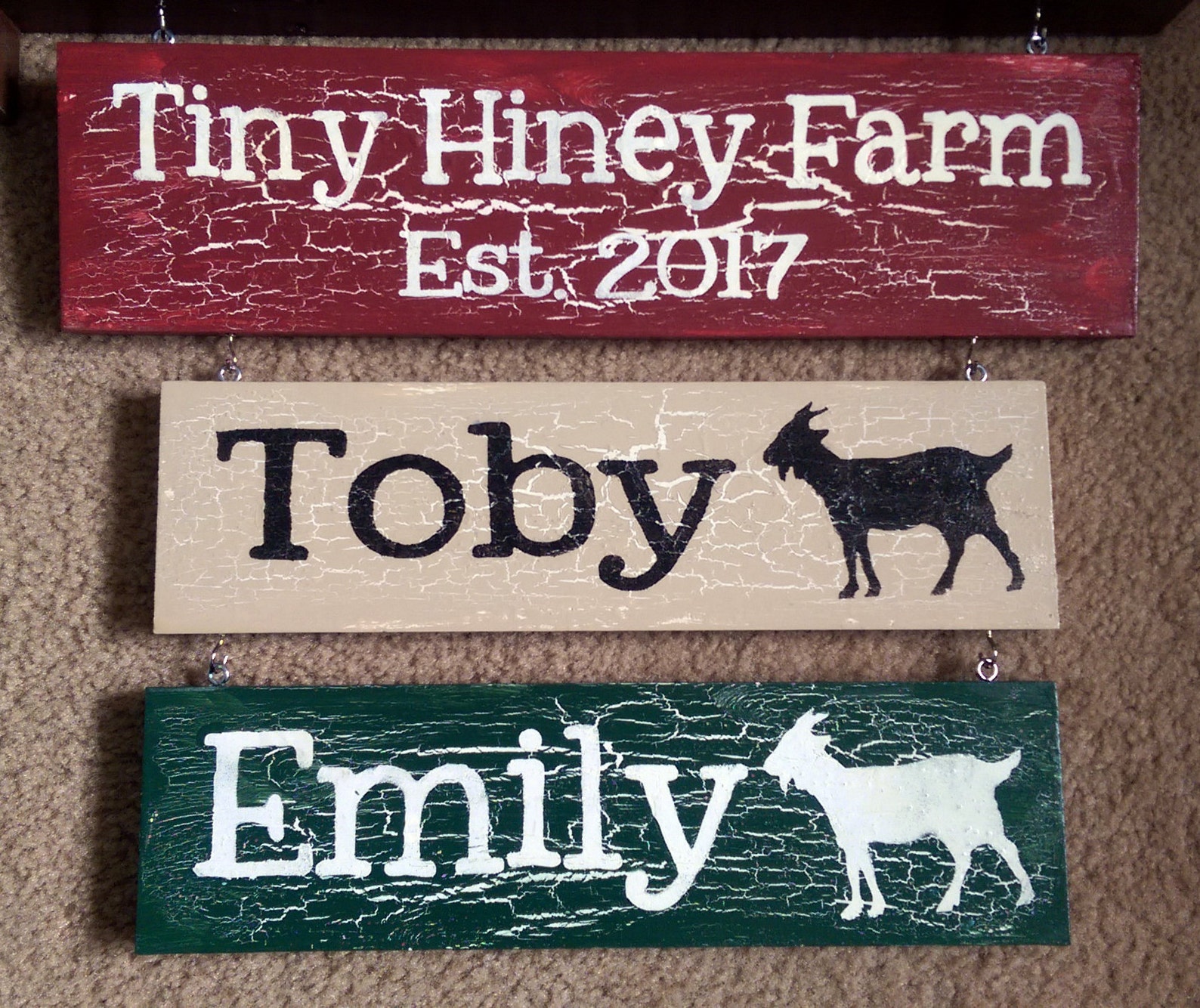 Flock Name Signs Personalized Chicken House Signs Duck Etsy
