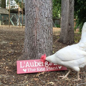 Outdoor Custom Coop Sign Personalized Farm Signage Pun With Chickens Eggs for Sale Barn Name image 3