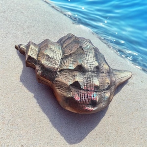 May include: A large, iridescent seashell with a textured surface. The shell is a light brown color with hints of pink and blue. It is lying on a white sandy beach.