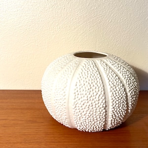 Beautiful Beach House Style Ceramic Sea Urchin Shell Vase