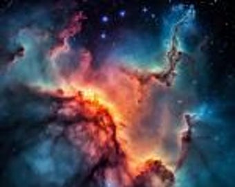 Aceite perfumado Haley's Blend, botella de 5 ml, de Lou Lou's Soaps, Scrubs, & Scents. Estilo: Dark Academia/Biblioteca/Libros/Té.