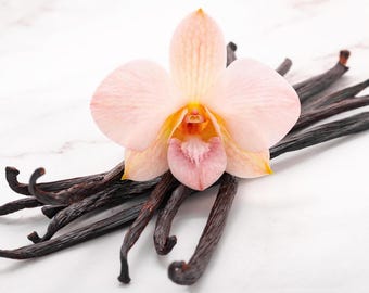 Aceite de perfume Vanilla One de 5 ml de Lou Lou's Soaps, Scrubs, & Scents