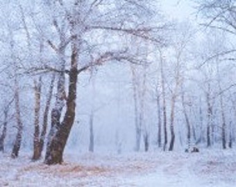 Aceite perfumado Winter Walk, campanillas de invierno con vainilla, té blanco, tierra de jardín y leña (5 ml)