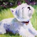 Jennifer