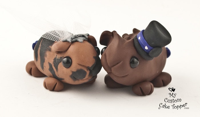 guinea pig cake topper