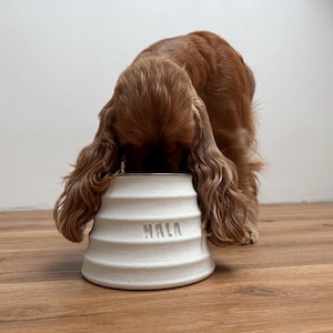 NALA - Personlig skål för spaniel/långörad hund