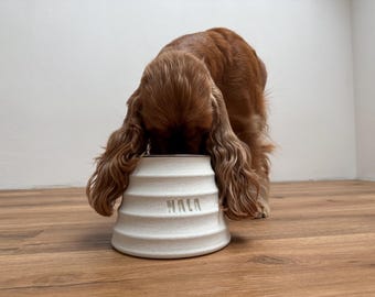 NALA - Ciotola personalizzata per Spaniel / Cane dalle orecchie lunghe