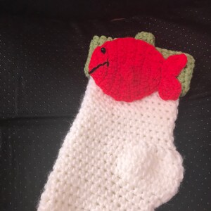 Cat  Stocking with  Fish