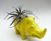 Neon Yellow Rhinoceros Planter - Mini Modern Art Air Plant Desk Accessory